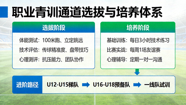 职业青训通道选拔与培养